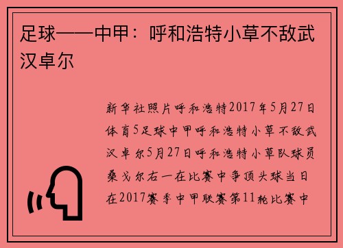 足球——中甲：呼和浩特小草不敌武汉卓尔